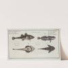 1. 2. Cottus Gobio, The River Bullhead; 3. 4. Cottus Cataphractus, The Armed Bullhead. (1785-1797) by Marcus Elieser Bloch
