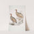1. Hepburn's Francolin, Perdix Hepburnii; 2. Perdix Hepburnii, var. Pallida odypore. by John Edward Gray