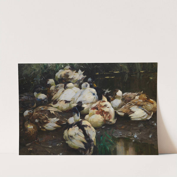 12 Enten im Wasser (1905) by Alexander Koester