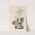 15 Chansons nouvelles Pl.07 (1900) by Auguste Roedel