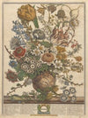 March (1730)