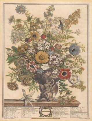 November (1730)