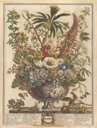 December (1730)