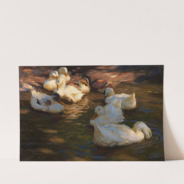 9 Enten im Abendlicht (1910) by Alexander Koester