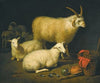 A barn interior with a four-horned ram and four ewes, and a goat, with a still life of a basket and upturned pots to the right