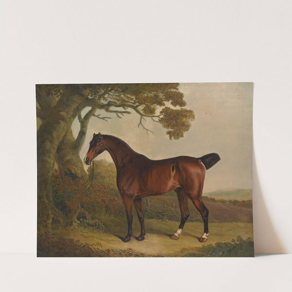 A bay horse tethered to a tree in a landscape by Thomas Weaver