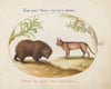 A Bear and a Lynx (1575-1590)