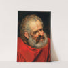 A Bearded Old Man In A Red Cloak by Frans Floris