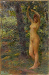 A beauty in a forest