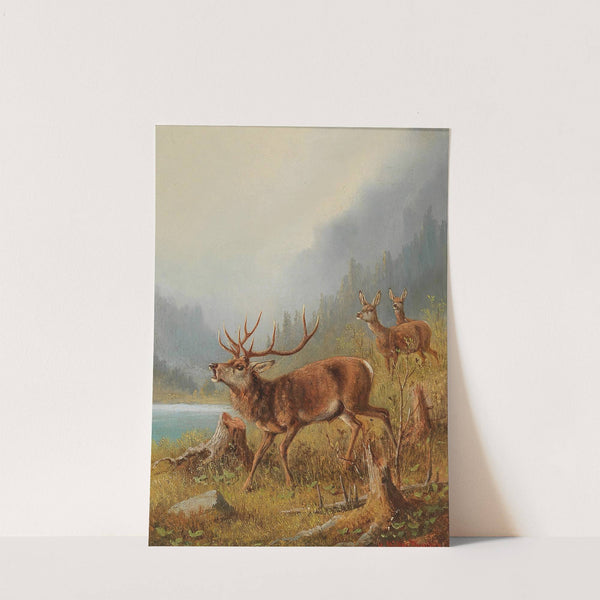 A Bellowing Stag by Moritz Müller