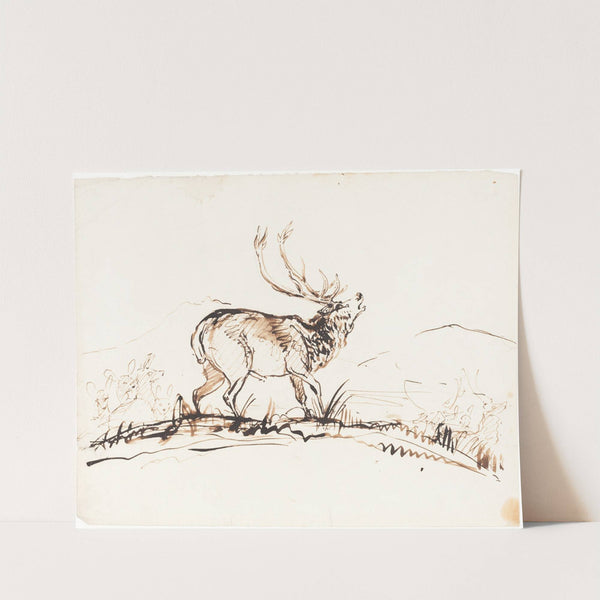A Bellowing Stag by Sir Edwin Henry Landseer