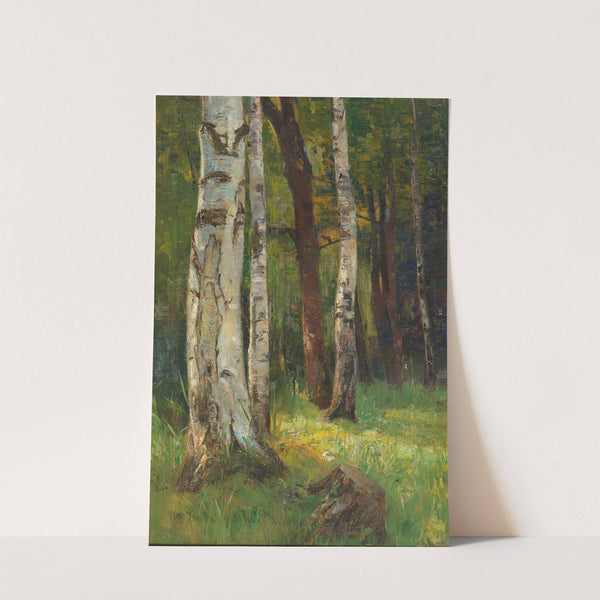 A Birch Forest by Gertrud Staats