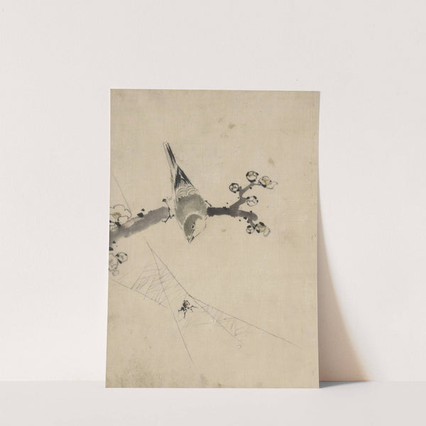 A bird perched on a tree branch with blossoms, watching a spider on a web by Katsushika Hokusai