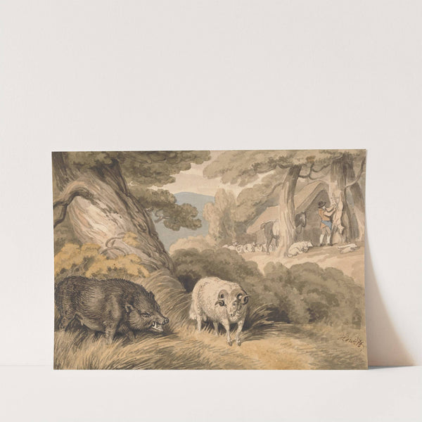 A Boar and a Ram by Samuel Howitt