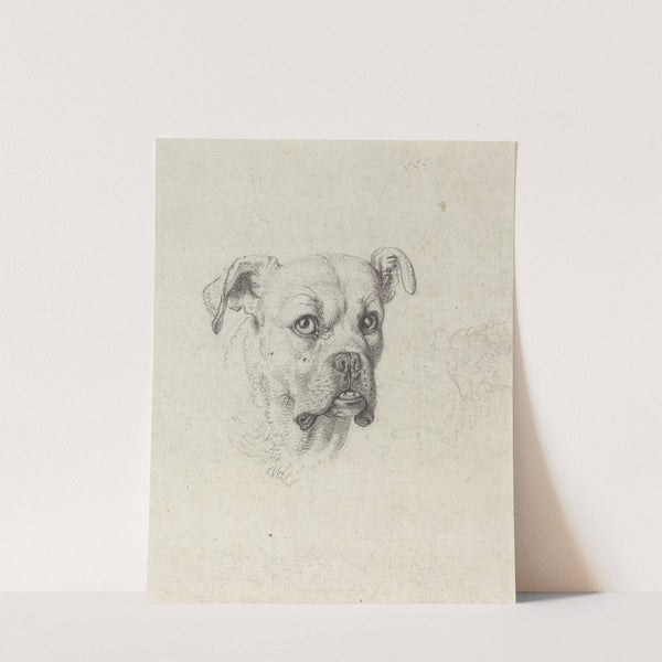 A Boxer by Johann Heinrich Wilhelm Tischbein