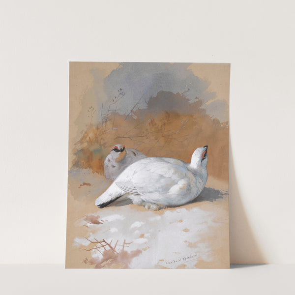 A brace Of Ptarmigan In The Snow by Archibald Thorburn