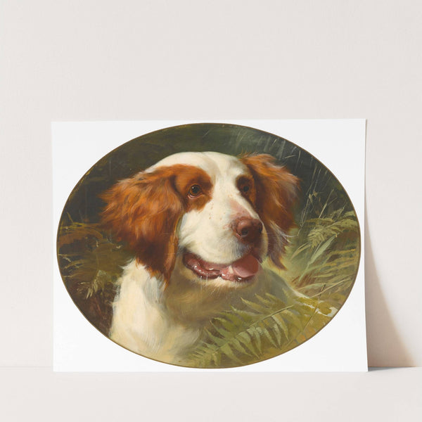 A Brittany spaniel by George Earl