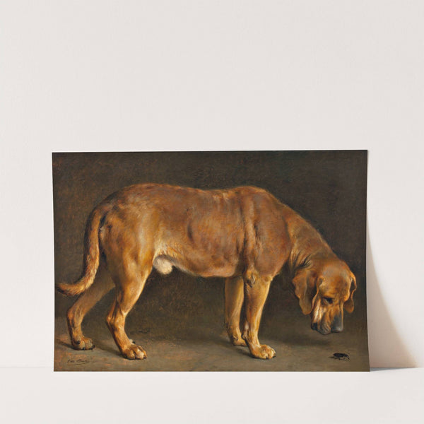 A Broholmer dog looking at a stag beetle by Otto Bache