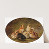 A Brood of Chicks (1865) by Arthur Fitzwilliam Tait