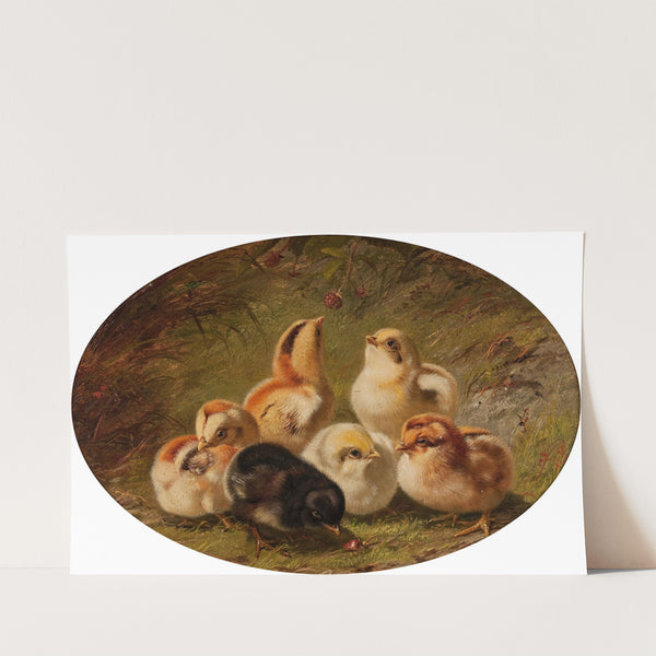 A Brood of Chicks (1865) by Arthur Fitzwilliam Tait