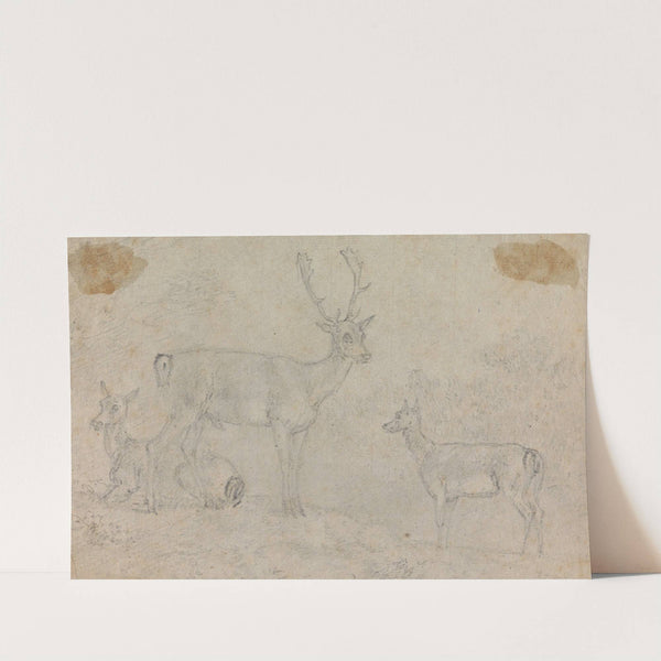 A Buck and Two Deer by Sawrey Gilpin