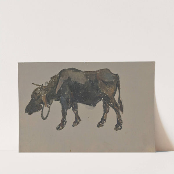 A buffalo. by Johann Nepomuk Rauch