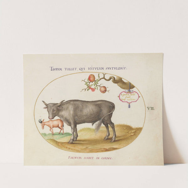 A Bull and a Horned Animal (1575-1590) by Joris Hoefnagel