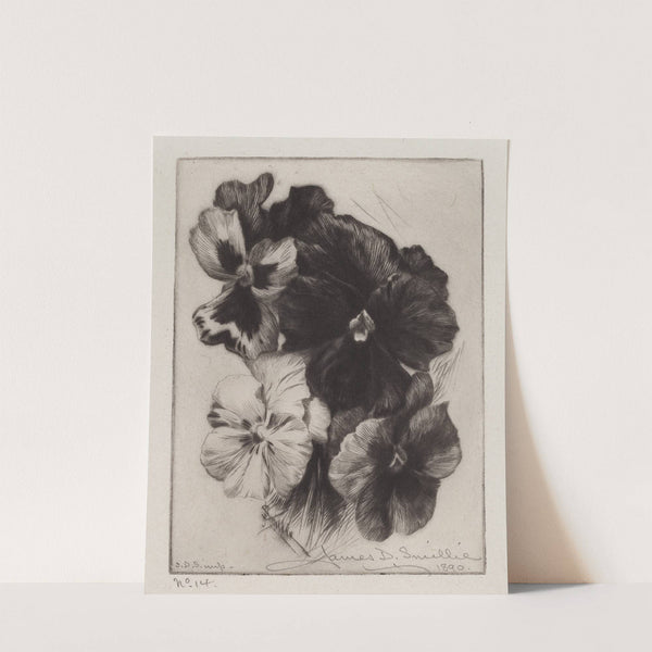 A Bunch of Pansies (1890) by James David Smillie