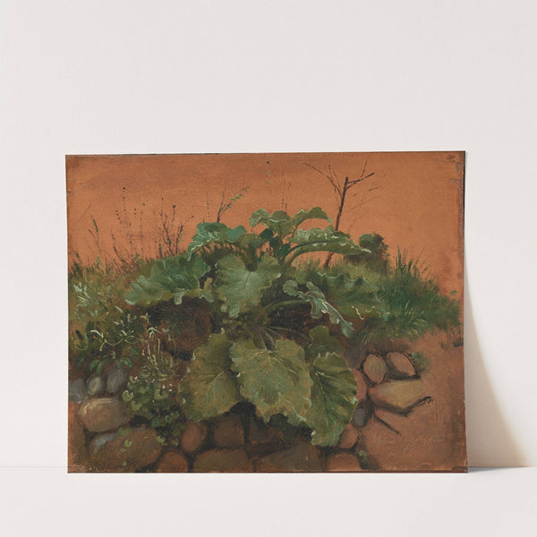 A Burdock And Other Plants On A Stone Wall by Johan Thomas Lundbye