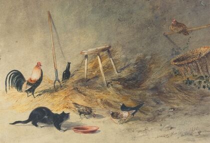 A Cat and Chickens