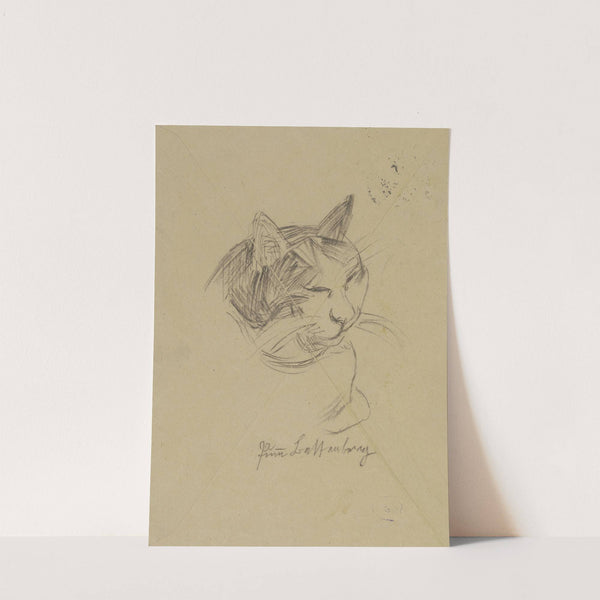 A cat’s head (ca. 1920) by Max Beckmann