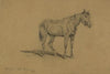 A cavalry horse