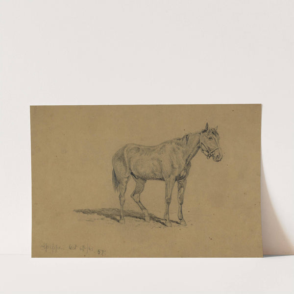 A cavalry horse by Edwin Forbes