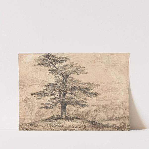 A Cedar on a Rise with a Herd of Deer Grouped Beneath its Shade by James Ward