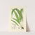 A century of ferns Pl.24 (1854) by William Jackson Hooker