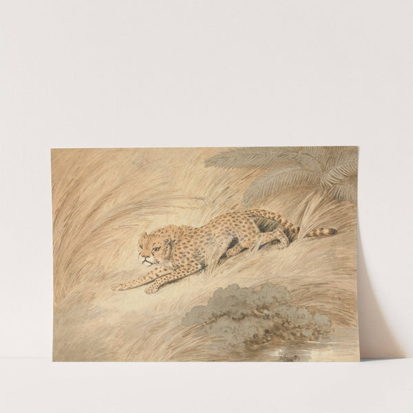 A Cheetah Crouching by a Pool by Samuel Howitt