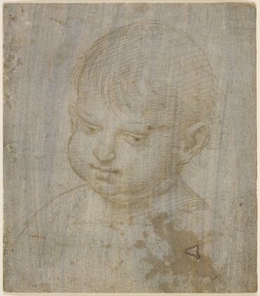 A child’s head