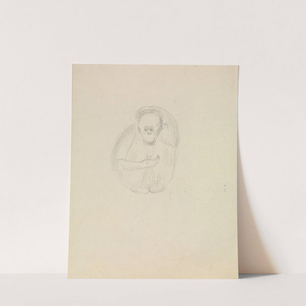 A Chimpanzee by James Sowerby