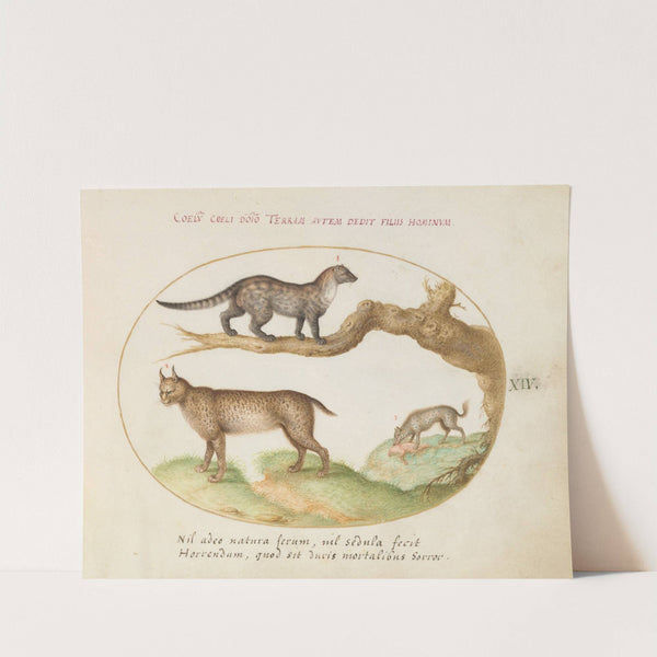 A Civet, a Lynx, and a Hyena Eating a Dog (1575-1590) by Joris Hoefnagel