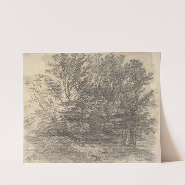 A Clump of Trees by Thomas Gainsborough