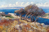 A Coastal Landscape