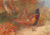 A cock and hen pheasant (1929)