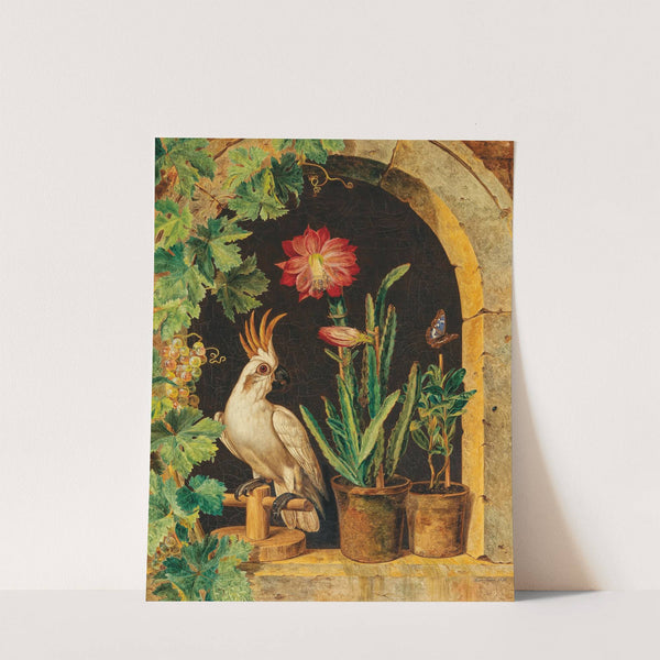 A Cockatoo at the Window with Blooming Cactus and Butterfly by Ferdinand Küss