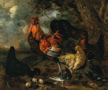 A cockerel, fowl and poultry in a landscape