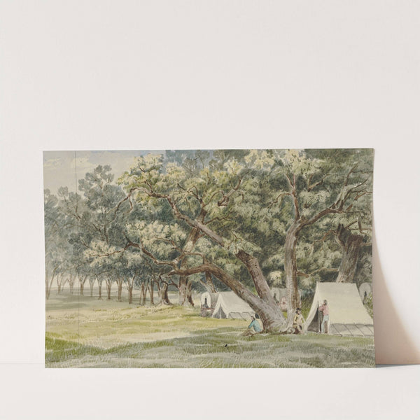 A Cottonwood Grove by John Mix Stanley