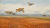A Covey of Grey Partridge in Flight (1900)