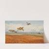 A Covey of Grey Partridge in Flight (1900) by Archibald Thorburn