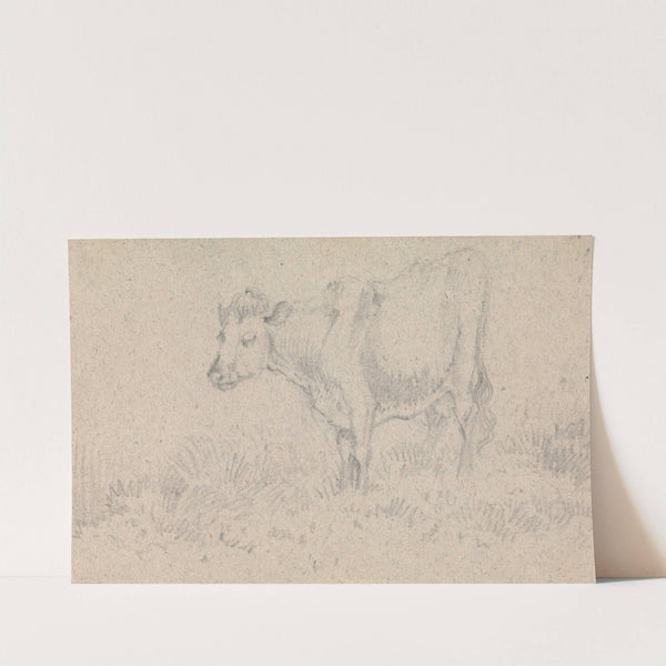 A Cow by John Crome