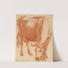 A Cow Grazing (1663) by Adriaen van de Velde