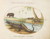 A Crocodile, a Hippopotomus, a Land Crocodile or Tegu Lizard, and a Crocodile or Spiny-Tailed Lizard with a Papyrus Plant (1575-1590)